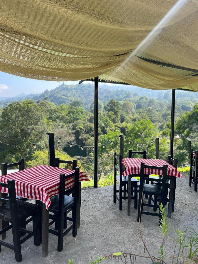 Casa Hostal Amor Viajero San Francisco  Εξωτερικό φωτογραφία